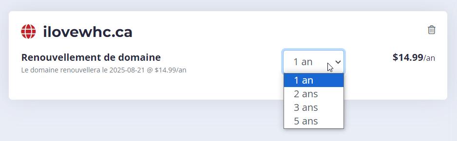 Domain renewal duration