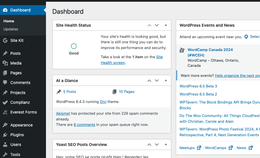WordPress dashboard interface